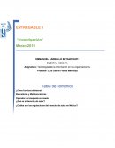 Cómo funciona el internet?