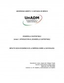 IMPACTO SOCIO-ECONÓMICO DE LA EMPRESA SOBRE LA NATURALEZA
