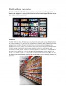 Evidencia inventarios