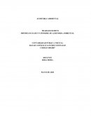 IMPORTANCIA DE UN INFORME DE AUDITORIA AMBIENTAL