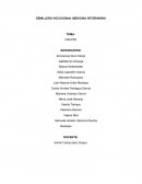 Cruce Bovino: GUZOLANDO