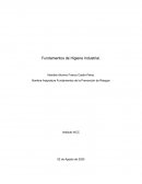 Fundamentos de Higiene Industrial. Fundamentos de la Prevención de Riesgos