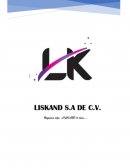 Proyecto exportacion de plata