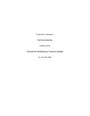 Técnicas de Planificación y Control de Gestión