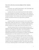 La Ola desde un punto de vista Sociológico