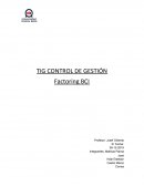 TIG CONTROL DE GESTIÓN Factoring BCI
