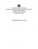 EL FENOMENO SOCIAL DE LA OPINON