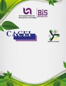 Almacenamiento de energía en el mercado electrico nacional mexicano