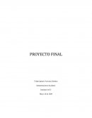 PROYECTO FINAL. Interpretaciones de planos