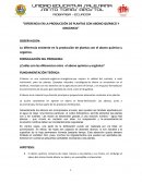 Diferencia en la producción de plantas con abono químico y orgánico