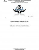 TEMAS DE CONTABILIDAD FINANCIERA