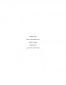 Estado de resultado. Análisis Contable