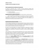 Ideología y aparatos ideológicos del estado. Althusser