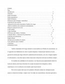 Analisis matematico de riesgo