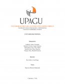 CONTABILIDAD MINERA Shahuindo S.A.C