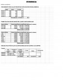 Análisis de microcredito. El negocio de doña Carmen