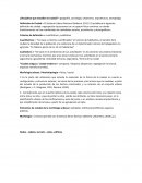 ¿Disciplinas que estudian la ciudad?