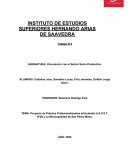 Proyecto de Práctica Profesionalizantes articulando la E.P.E.T. Nº20 y La Municipalidad de San Pedro Mnes
