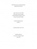 ENTREVISTA JUNTA ACCIÓN COMUNAL BARRIÓ PRADO PINZÓN