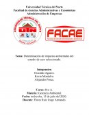 Determinación de impactos ambientales del estudio de caso seleccionado