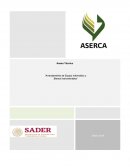 Arrendamiento de equipo informático y bienes instrumentales