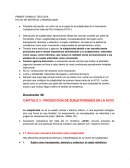 Producción de subjetividades