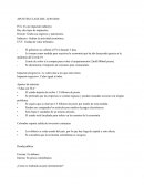 Ejemplo prueba1 IVA: Es un impuesto indirecto.