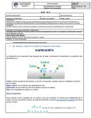 GUIA Nº 6 AREA: MATEMATICAS