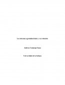 Los sistemas agroindustriales y su evolución
