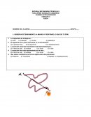 EXAMEN EXTRAORDINARIO CIENCIAS II FISICA