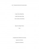 Programación básica del microprocesador