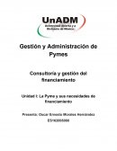 Unidad I: La Pyme y sus necesidades de financiamiento
