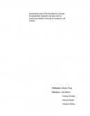 TRABAJO AUDITORIA SPEVI LTDA