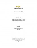 Informe primera entrega PYME