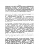 Ensayo sobre el jaguar