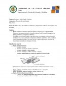 Modelos, clases de modelos en fundición y temperatura de fusión de elementos más utilizados