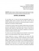 PEDAGOGIA. ENTRE LOS MUROS