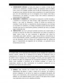 Avances de la edad media