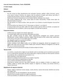 Curso de Comercio Electrónico