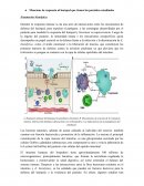 Entamoeba histolytica