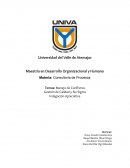 MANEJO DE CONFLICTOS