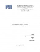 Diagramas de Flujo de una empresa (Sono Audio C.A) By. Luiggi Jordán