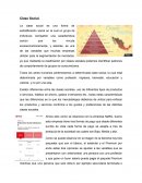 Comportamiento consumidor Netflix