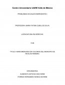 NARCOMENUDEO EN COLONIAS DEL MUNICIPIO DE NICOLÁS ROMERO