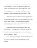 Conclusiones SENDERO LUMINOSO