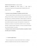 Los equipos de trabajo