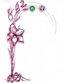 DISCIPLINAS QUE CONTRIBUYEN AL COMPORTAMIENTO ORGANIZACIONAL