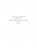 LIDERAZGO ORGANIZACIONAL Y TRABAJO EN EQUIPO