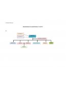 ORGANIGRAMA DE LA IMPORTADORA ''EL PATITO''