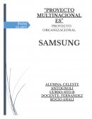 Proyecto organizacional : Samsung